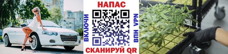 МАРИХУАНА Ganja  Яхрома 
